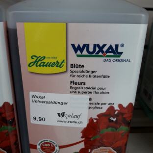 Wuxal Blüte