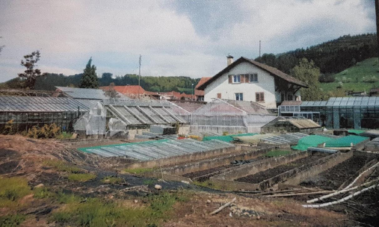 Kurz bevor der Bagger kam